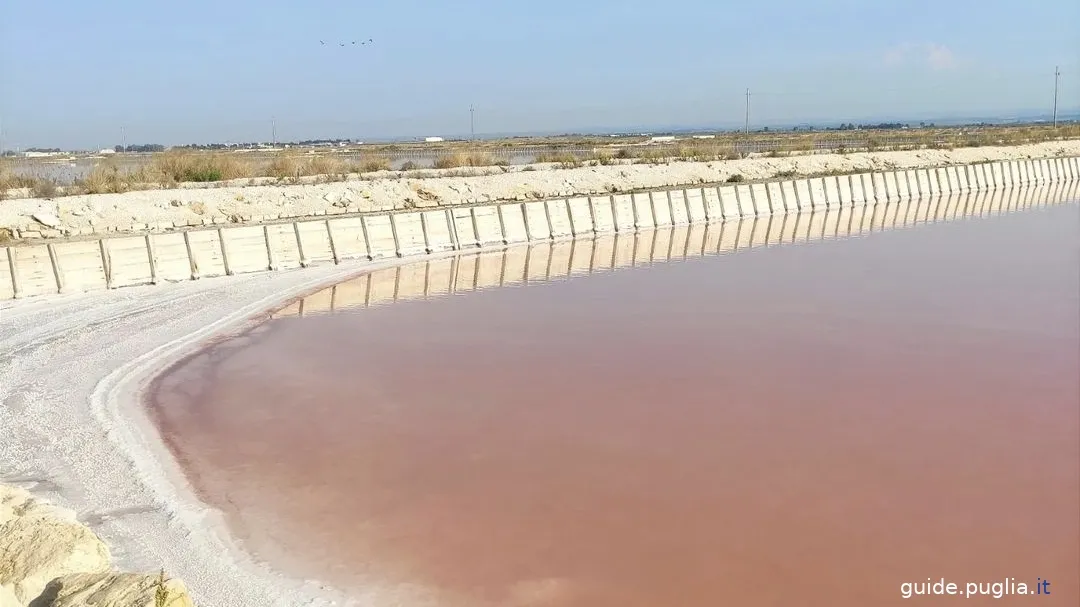 margherita di savoia,  saline, riserva naturale