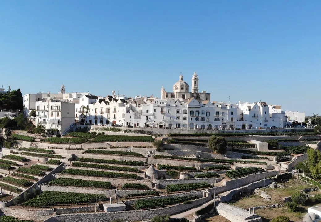 Visita Guidata di Alberobello e Locorotondo (IT)