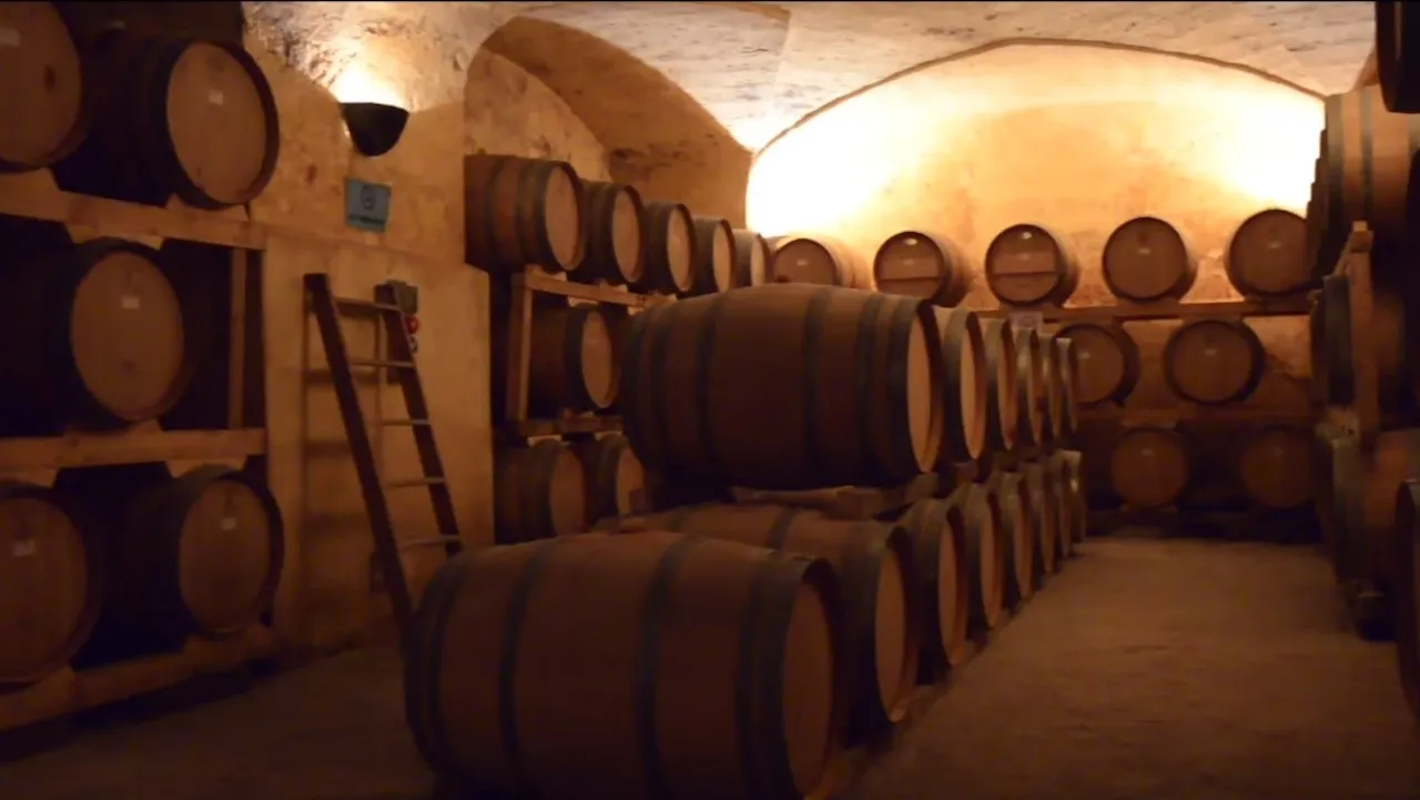 Ernteerlebnis in Apulien: Winzer und Weinproduzenten&nbsp;Treffen