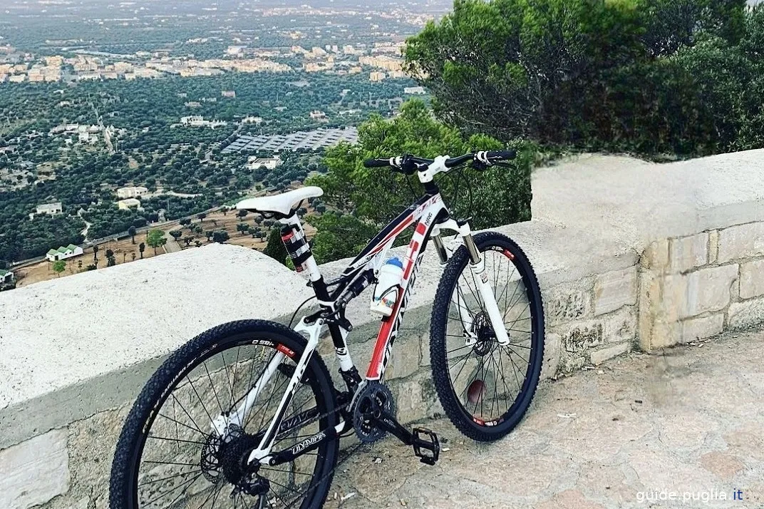 escurzioni in bicicletta, area di sosta, selva di fasano