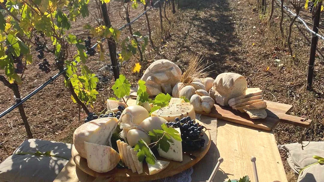 E Bike Tour Mozzarella Experience a Monopoli-3396