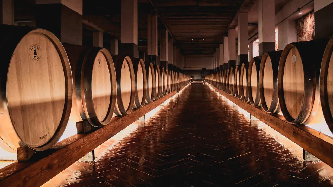 Winery in Puglia with oak aging barrels