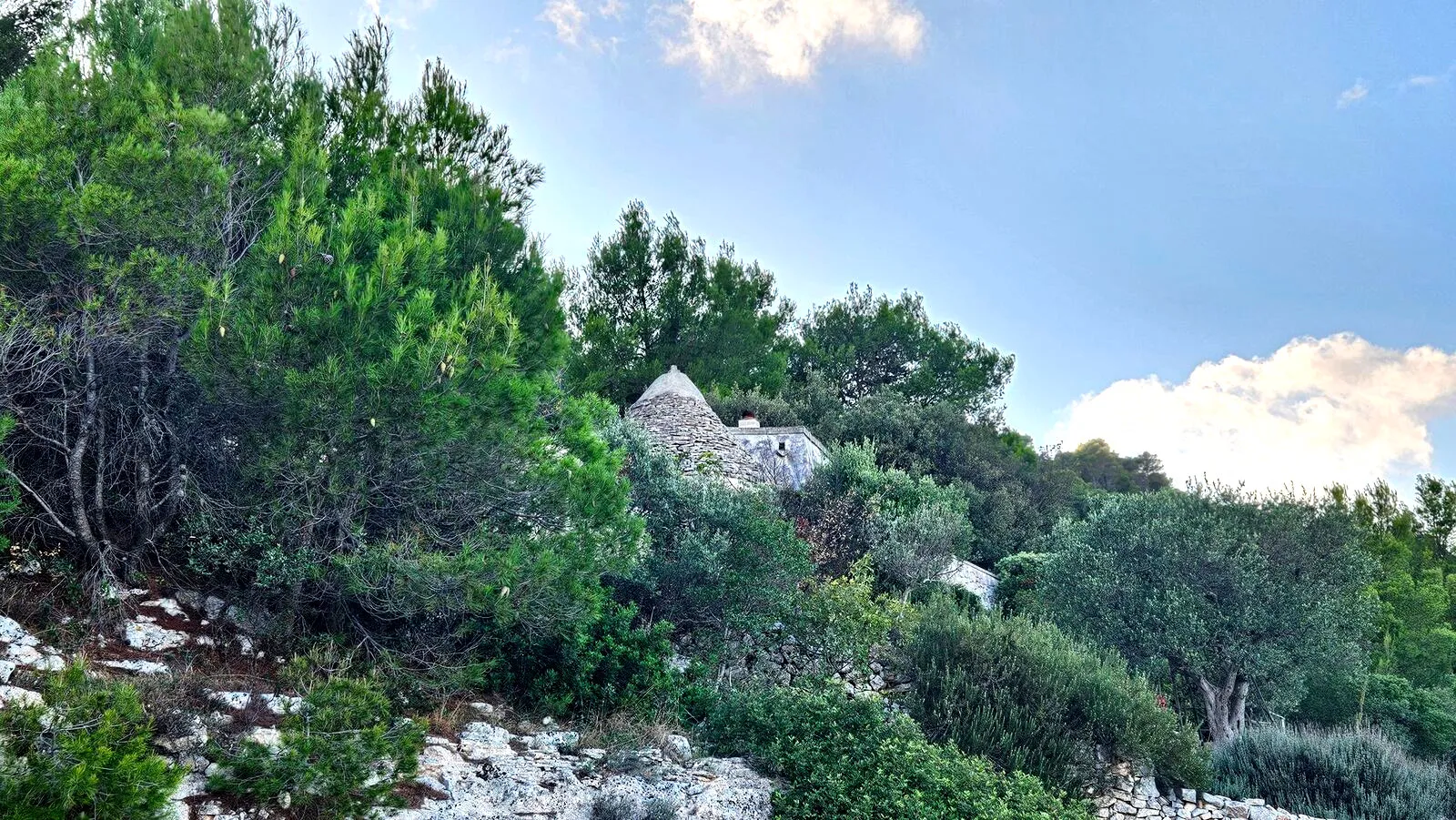 Fasano Forest, Trullo in the woods