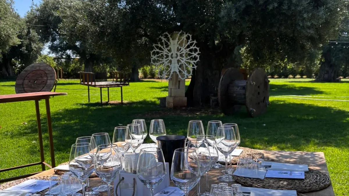 Esperienza Frantoio e Cantina a Fasano-1318