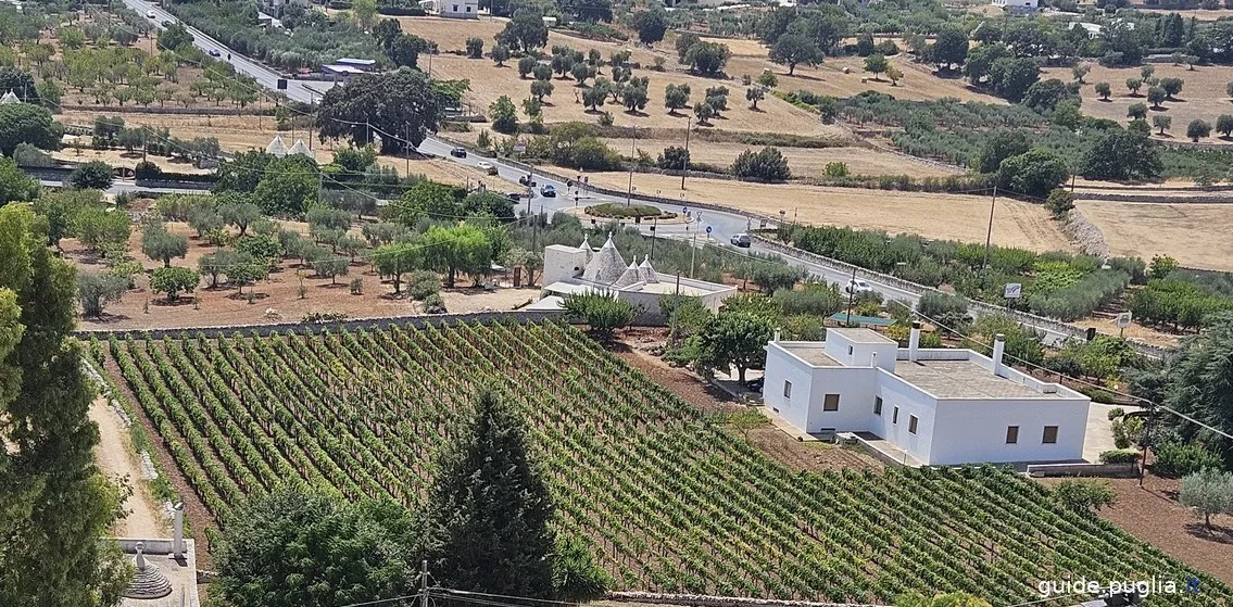 Locorotondo, Aussichtspunkt über das Itria-Tal, Felder und Weinberge von Locorotondo