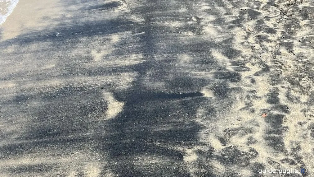 parco regionale delle dune costiere, mare, spiaggia, sabbia nera