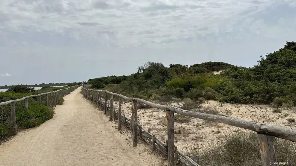 Saline dei Monaci, Taranto