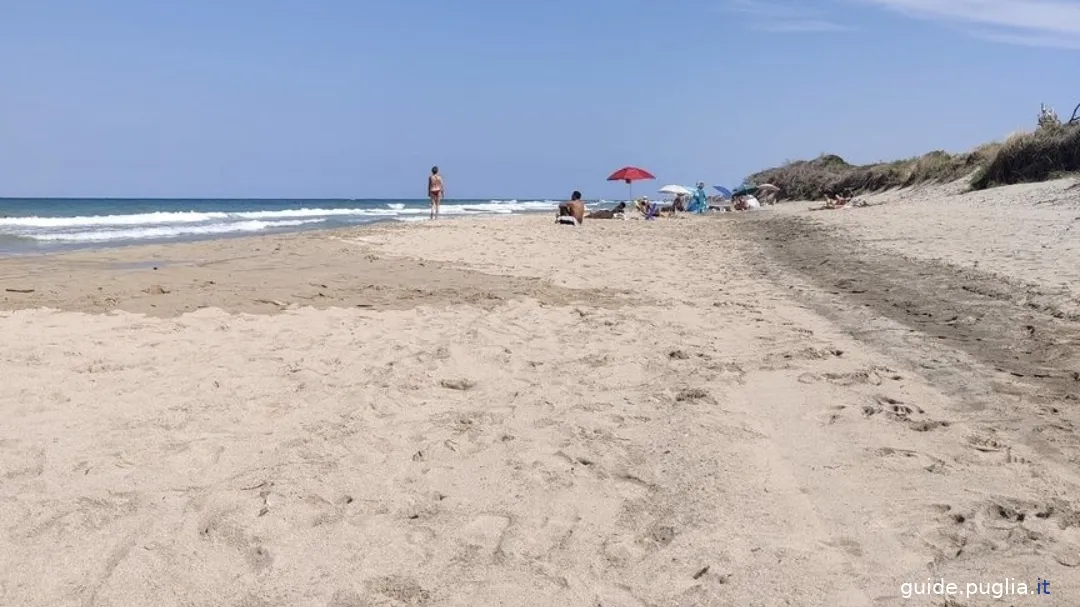 Küstendünen-Regionalpark, Meer, Strand