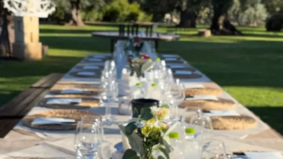 Esperienza Frantoio e Cantina a Fasano