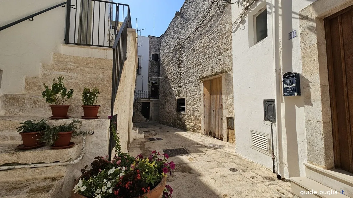 ruelles, rues cisternino, maisons blanches