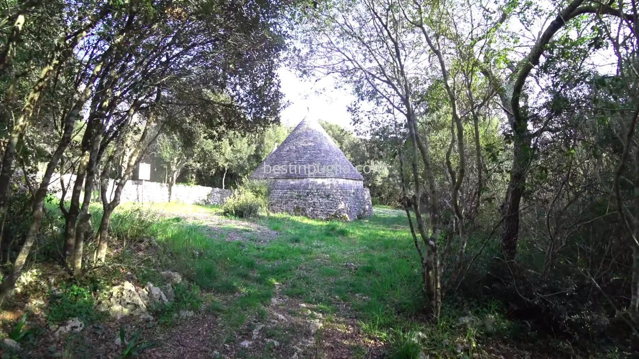 Parco delle Pianelle in Martina Franca, view of the path of the small Trullo