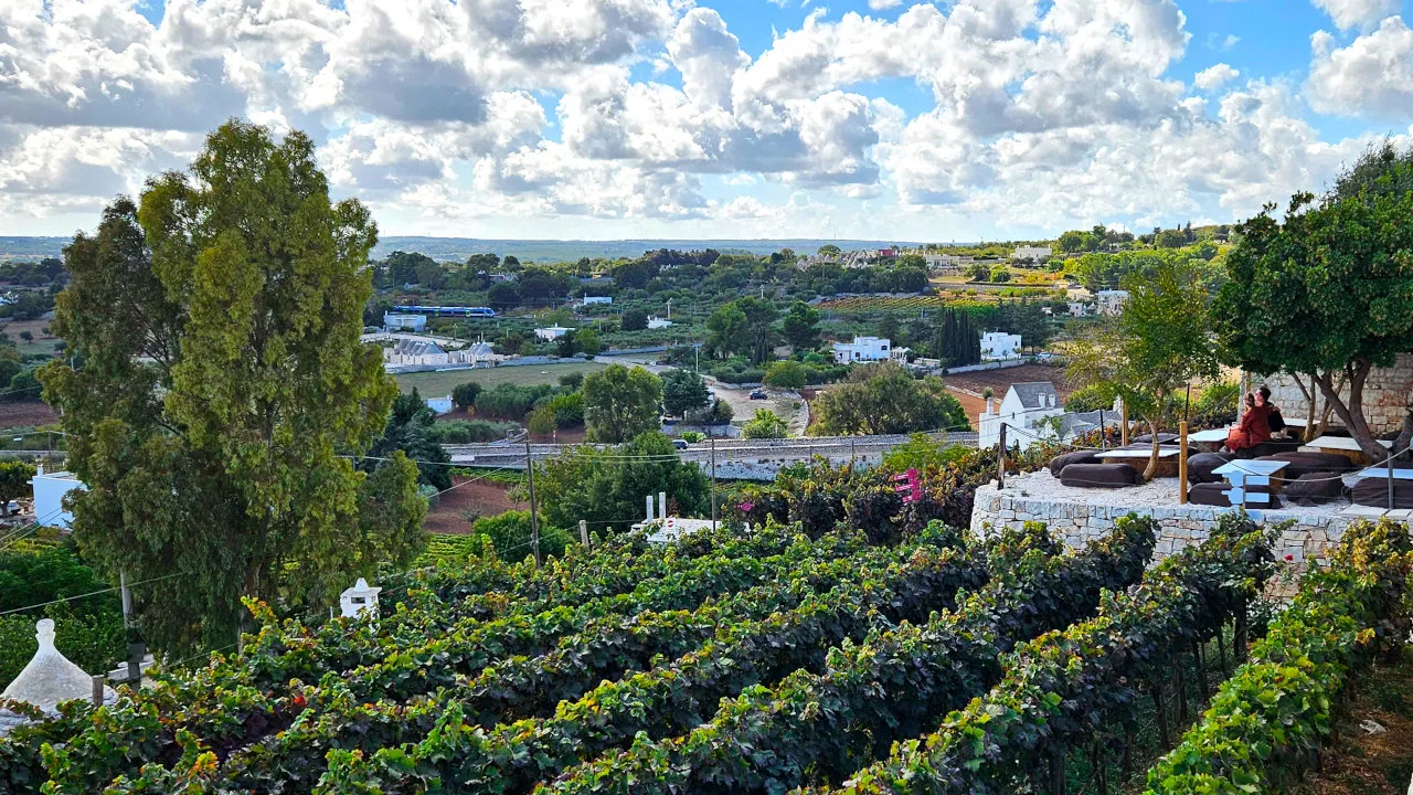 Locorotondo, a terraced vineyard overlooking the Itria Valley