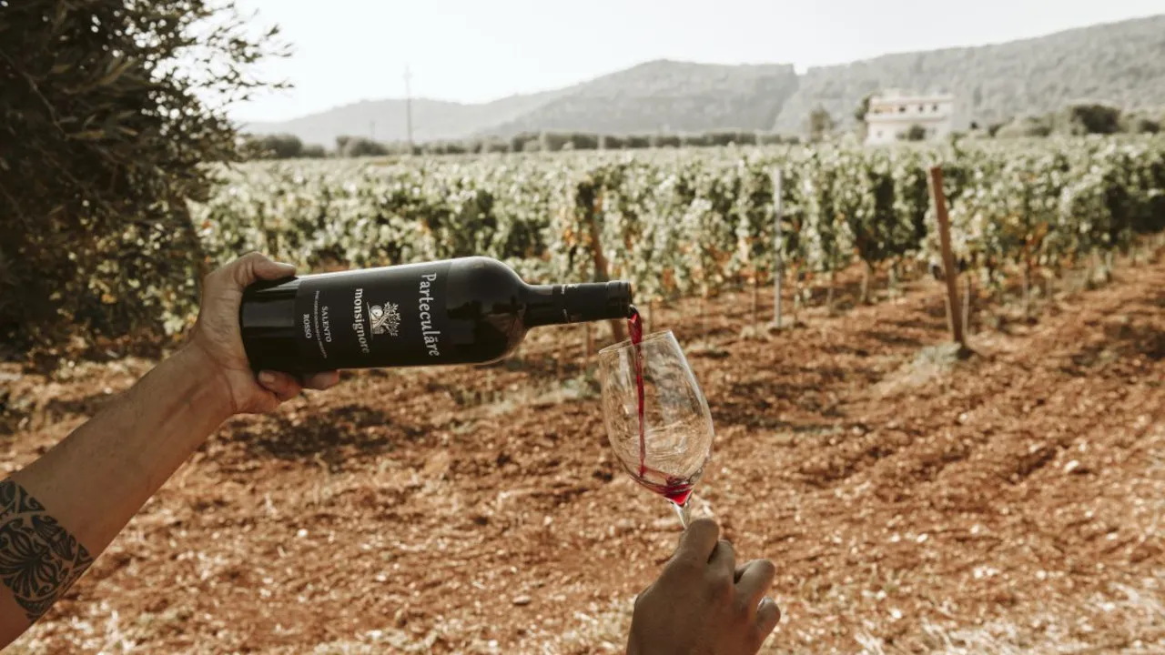 Degustazione Vini Fasano-4020