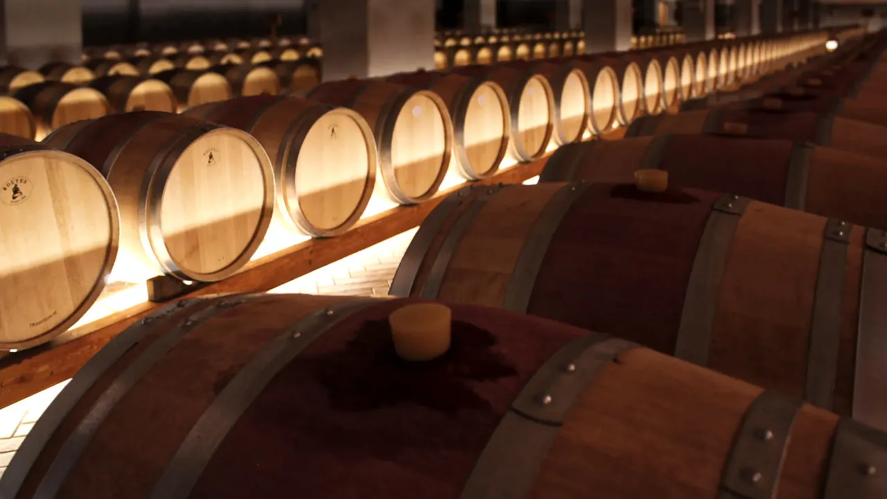 Le migliori Aziende Vinicole a Brindisi 2025