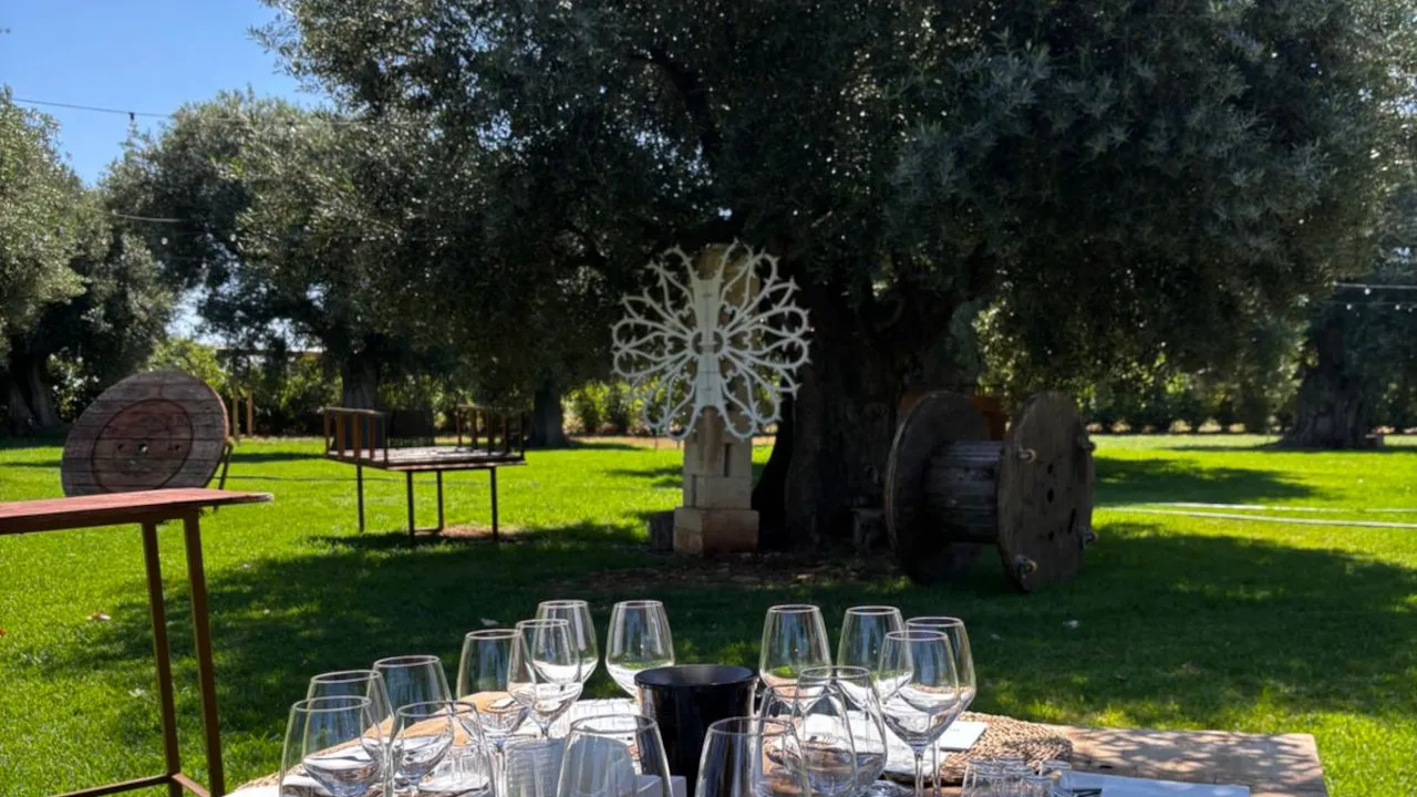 Esperienza Uliveto Olio Evo Fasano-3130