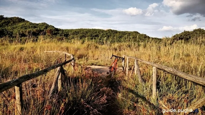 coastal dunes regional park, protected area trail