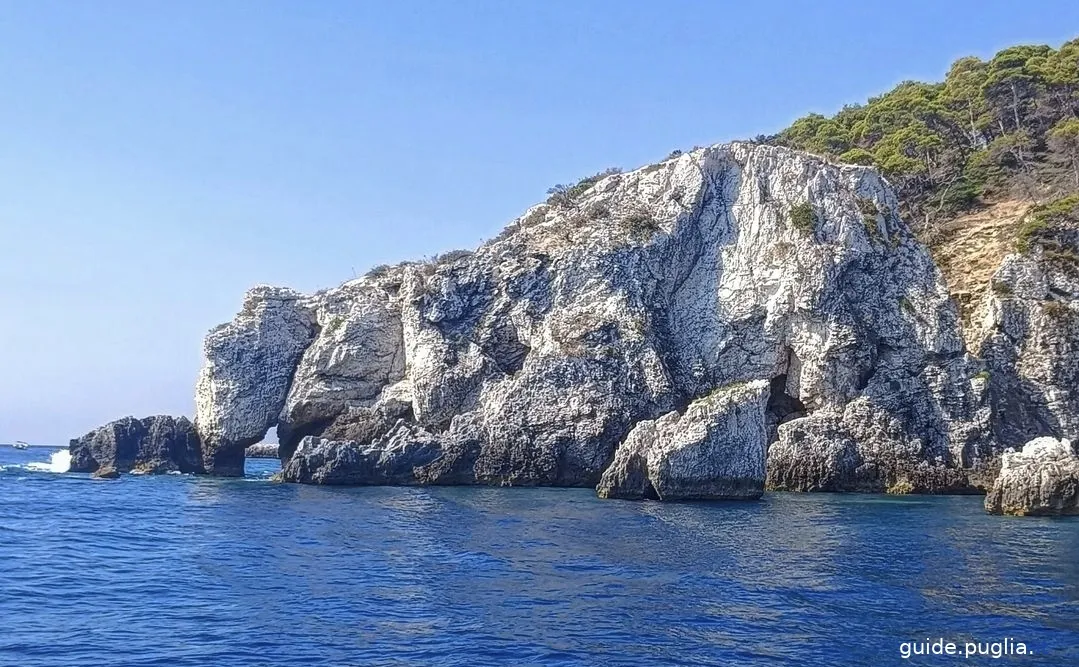 Tremiti-Inseln, Bootsausflug, Elefantenfelsen, Insel San Domino