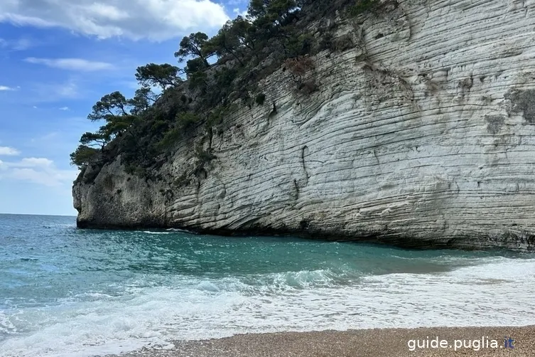 baia delle zagare, spiaggia, scogliera