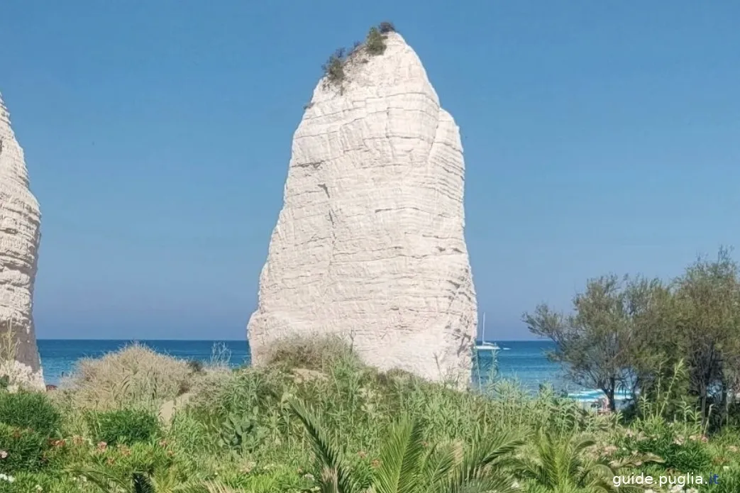 vieste, pizzomunno monolith, with vegetation