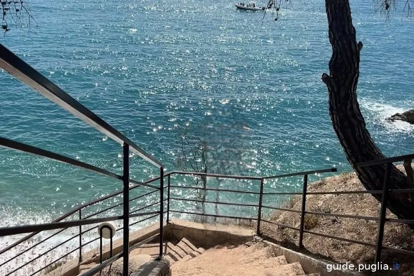 bay of orange blossoms, staircase