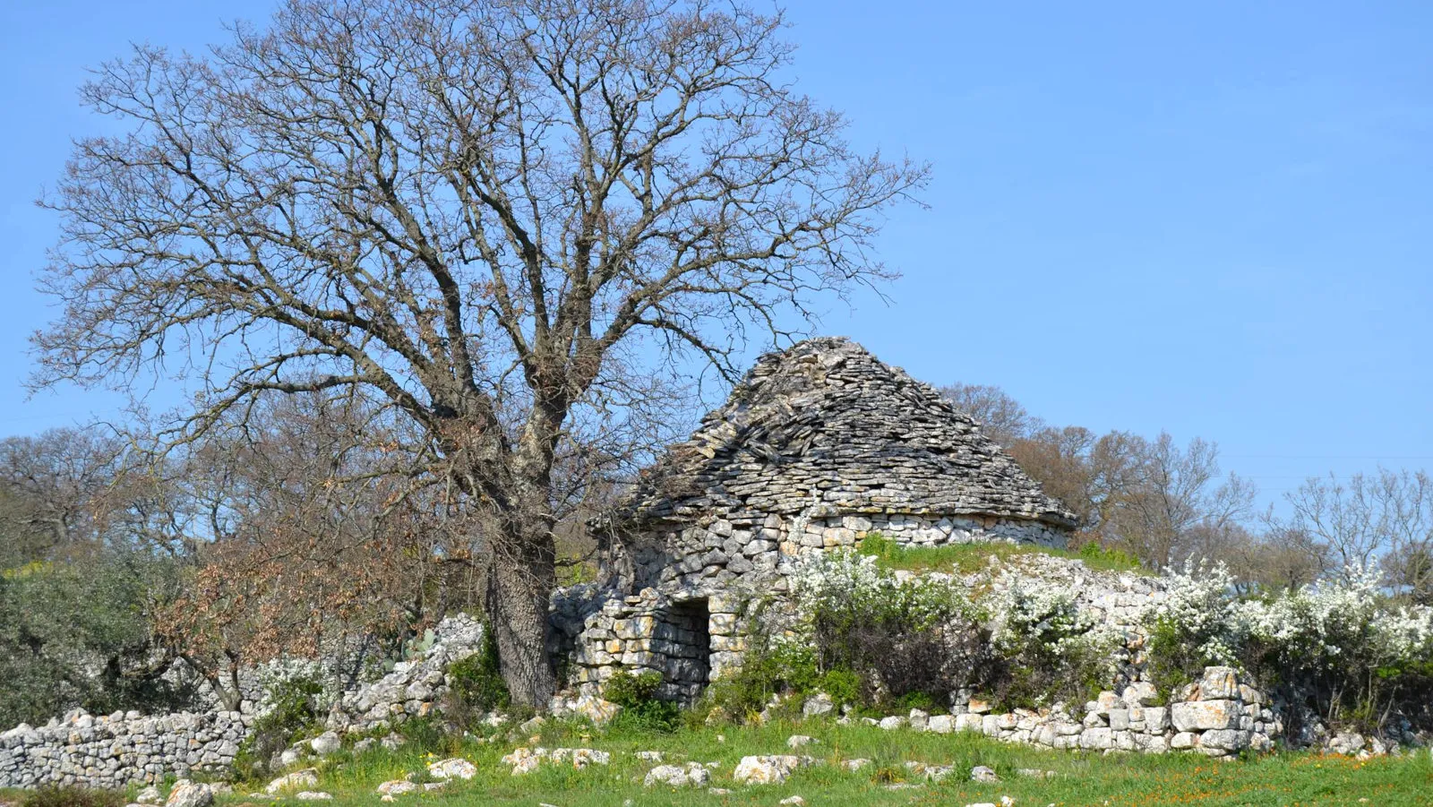 Locorotondo, Trullo Marziolla in the countryside of the Itria Valley