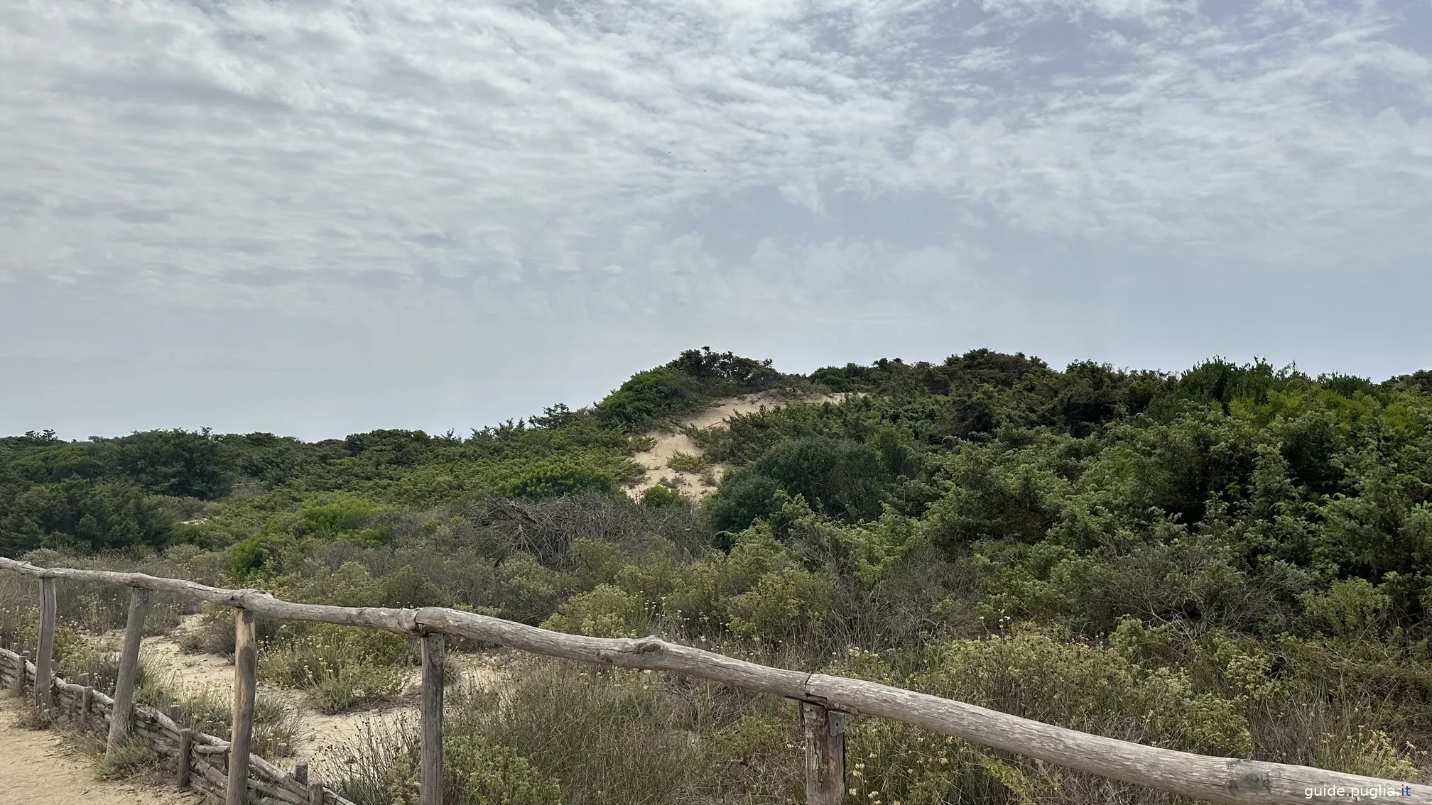 Beauté naturelle des dunes côtières de Salina dei Monaci