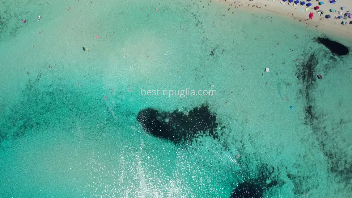 Plage de Punta Prosciutto, vue sur les fonds marins avec sable blanc et eau cristalline