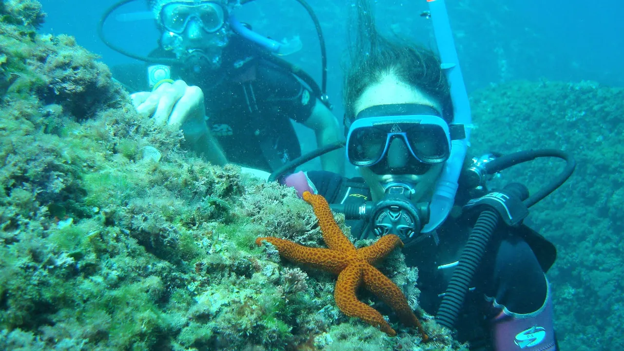 Plongée sous-marine à Brindisi, baptême de plongée