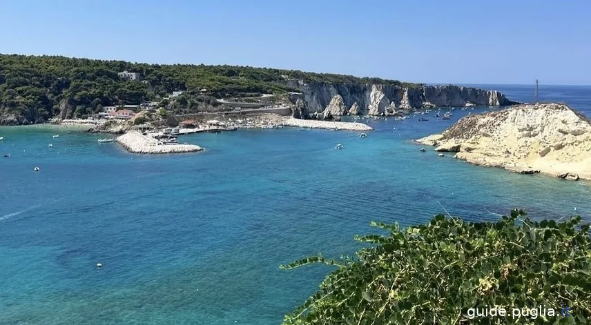 Îles Tremiti : Que Voir, Comment y Accéder, et Activités à Faire