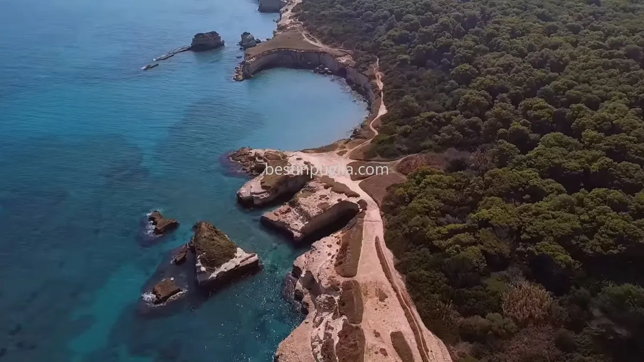 Torre dell'Orso: glimpse of the beach and pine forest south of Torre dell'Orso in the nature reserve