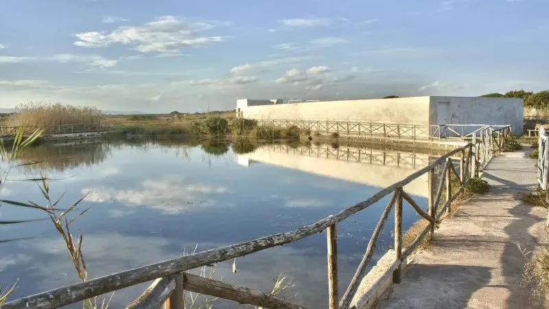 Escursione al Parco Dune Costiere di Ostuni per gruppi