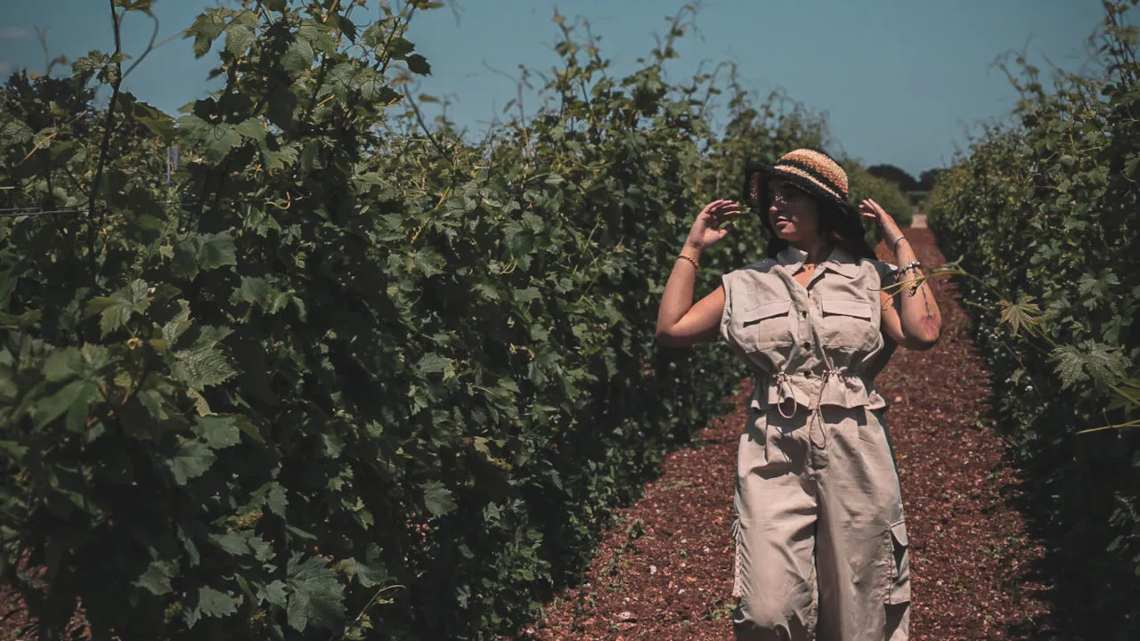 Degustazione Vini Martina Franca con tour vigneto
