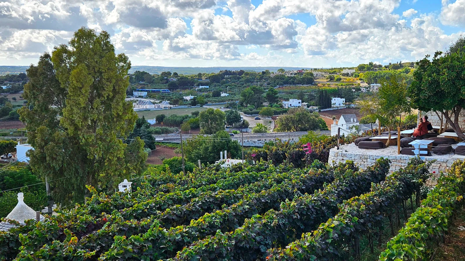 Locorotondo, panoramic view of the Itria Valley from the terraces with vineyards of Via Nardelli