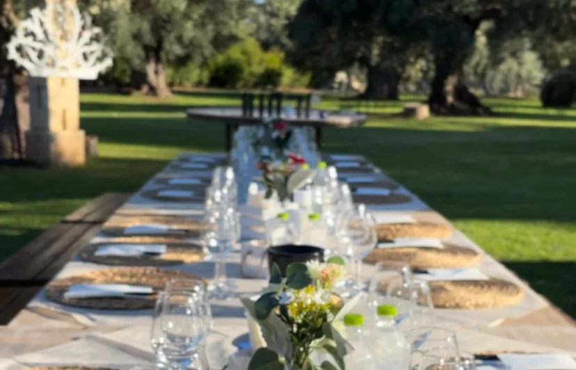 Esperienza Frantoio e Cantina a Fasano