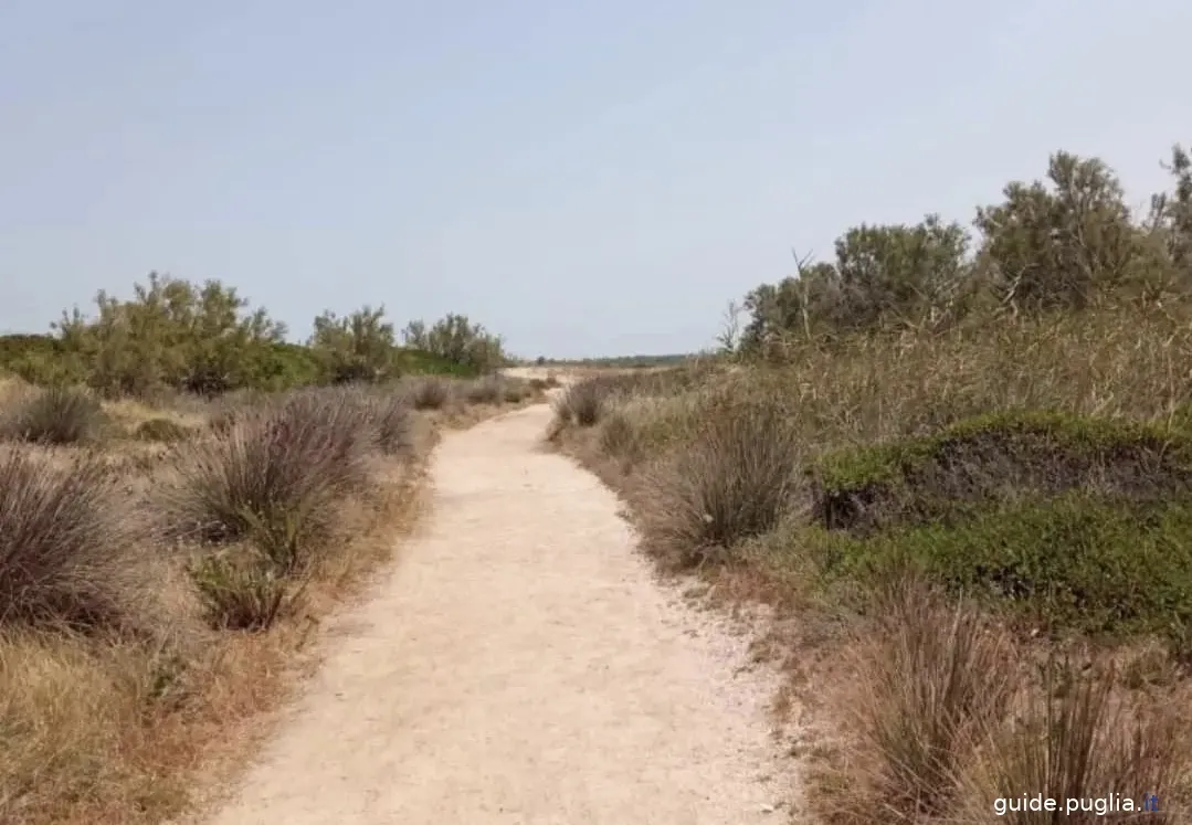 Küstendünen-Regionalpark, Weg, Schutzgebietsweg