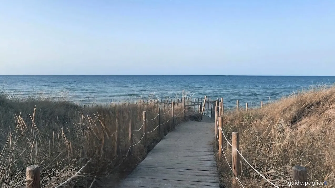 Coastal dunes regional park, beach access pier