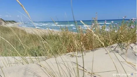 Parco Dune Costiere