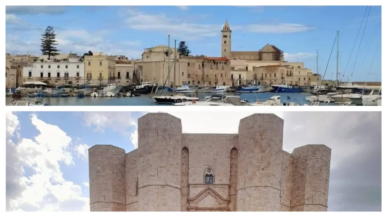 Tour Castel del Monte e Trani