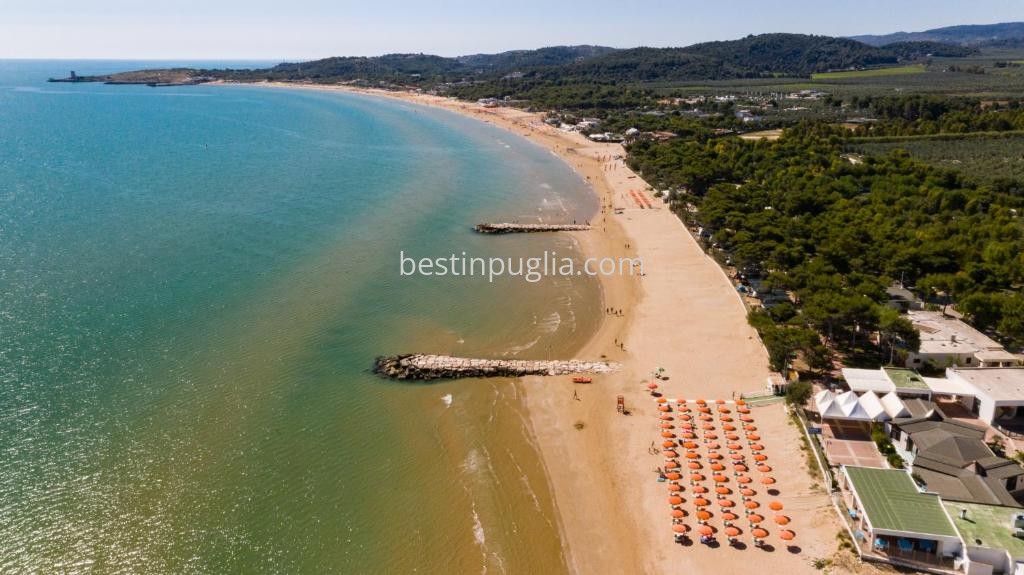 Villaggio Camping Spiaggia Lunga, vista aerea spiaggia villaggio