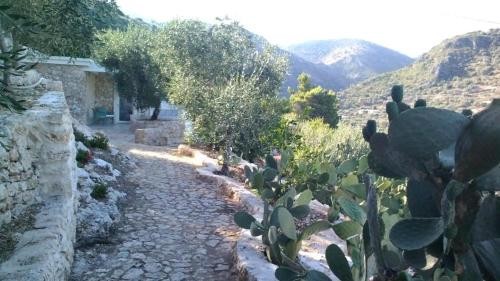 Residence Montelci