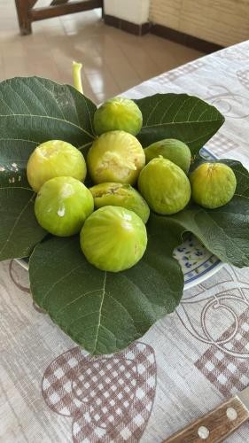 Villa Emma a 100 mt dal mare