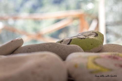 Casa della Valle Gentile